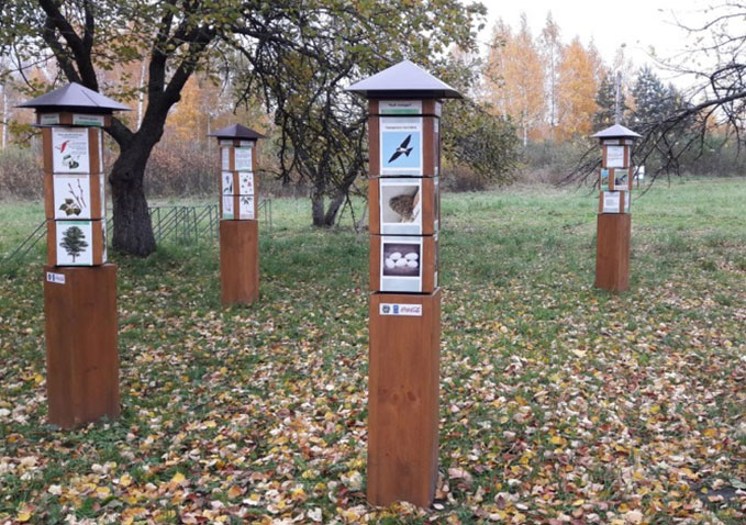 Экскурсия на болота Беларуси