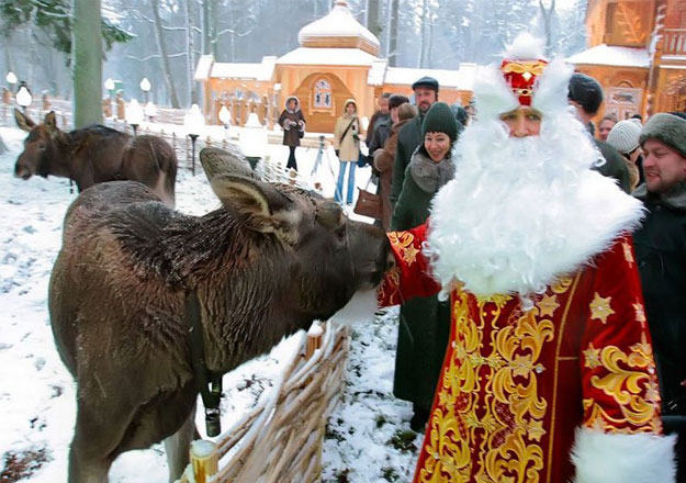 Новогодняя экскурсия в Беловежскую пущу