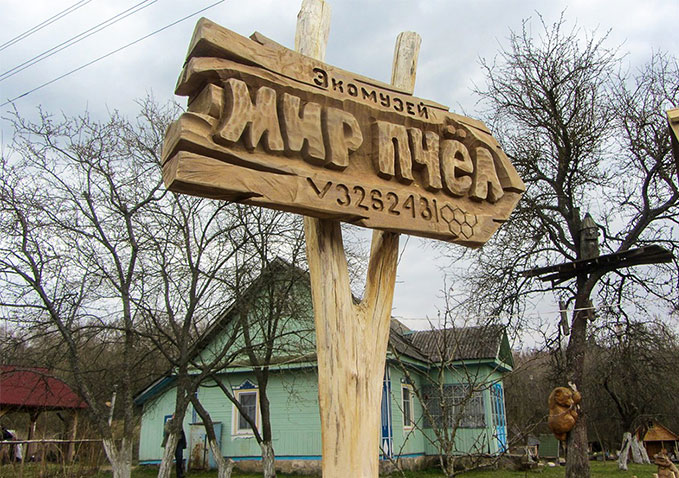 Мир пчел