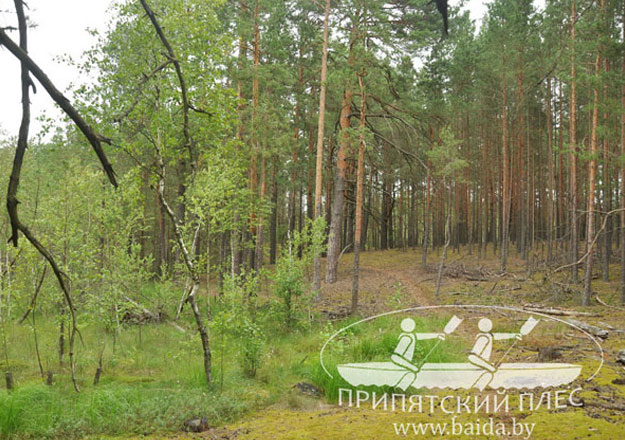Болотный тур на Ольманы