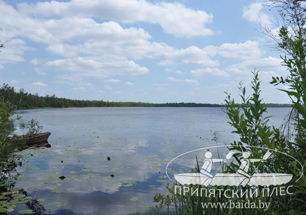 Болотный тур на Ольманы