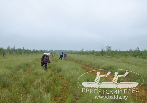 Болотный тур на Ольманы